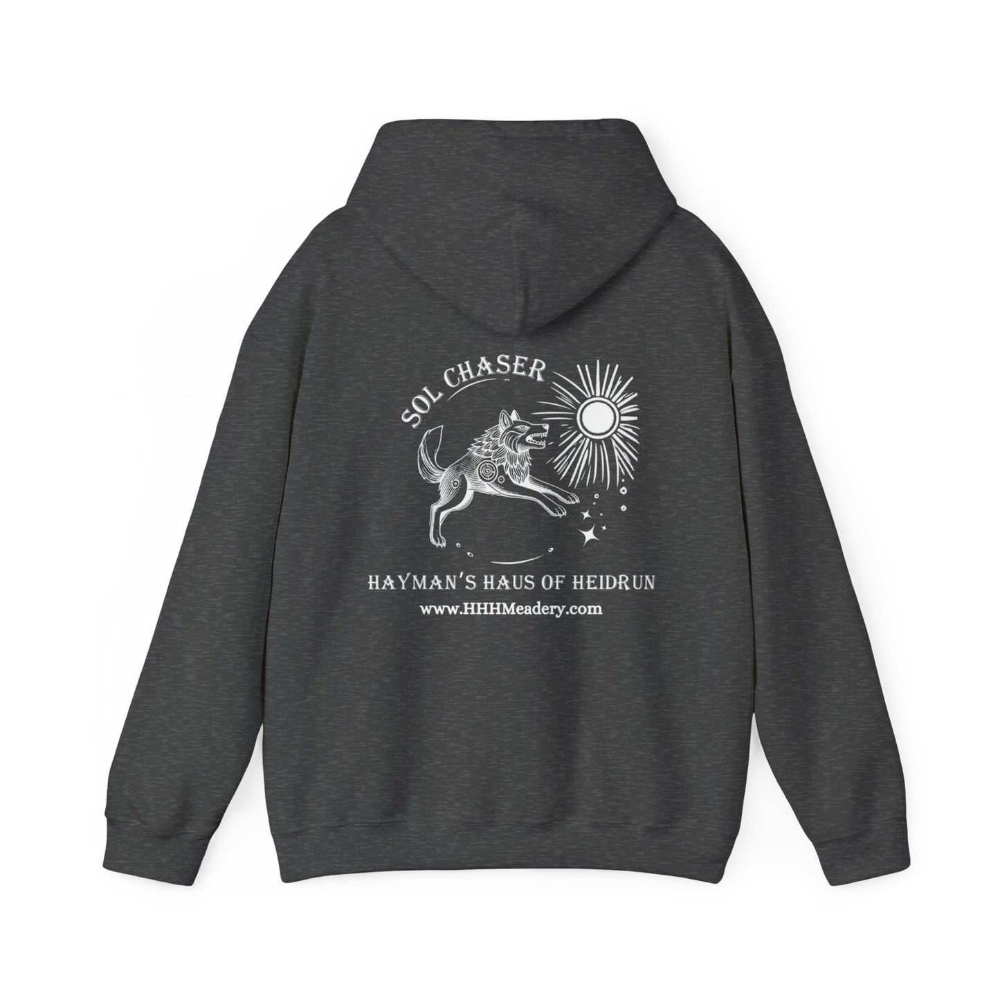 Sol Chaser Hoodie