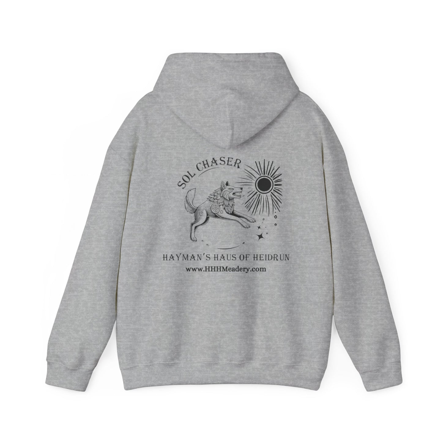 Sol Chaser Hoodie